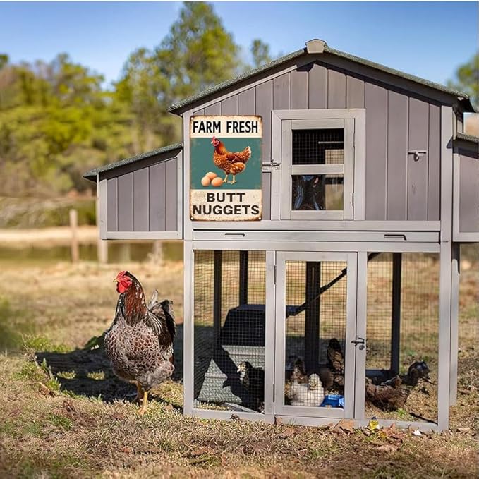 Vintage Metal Signs Chicken Coop Signs for Farm Yard Decor, Farm Tin Signs for Home Kitchen Outdoor Decor, Fresh Butt Nuggets 12x16 inches