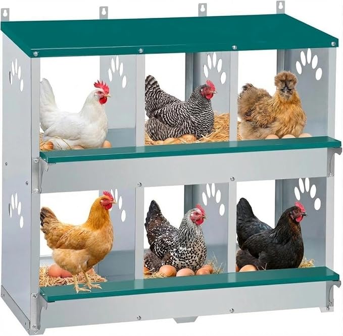 Rustproof Galvanized Steel Build - Chicken Nesting Box for Small Animals - 6 Compartments, Large Vented Holes, Easy Clean, Secure Egg Collection, Wall-Mounted - Green, 6 Compartments ZW