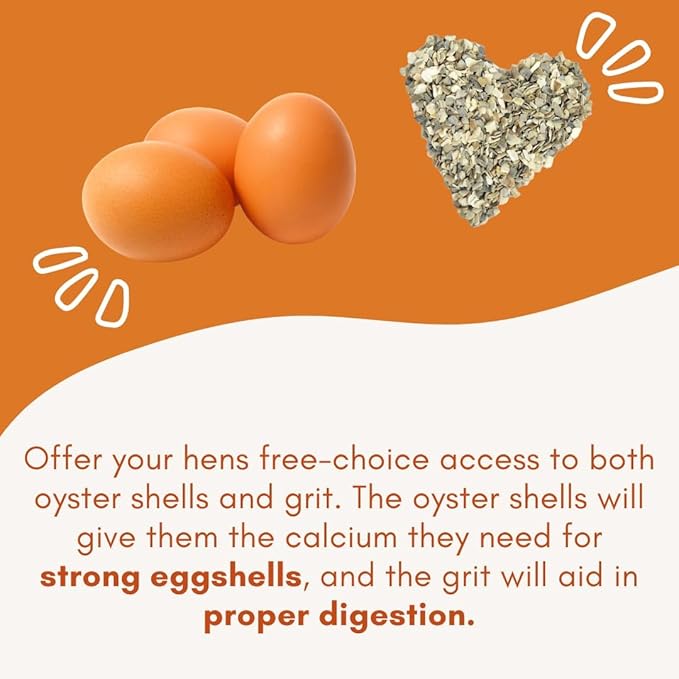 2Pack Chicken Grit Feeder, Oyster Shell Feeder with Lid, Hanging Gravity Chicken Poultry Feeders Trough, Coop Accessories Supplies