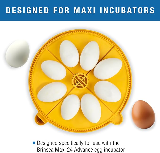 Brinsea Extra Large Egg Quadrant Insert for Maxi Advance Incubator System, Fits 8 Goose-Size Eggs