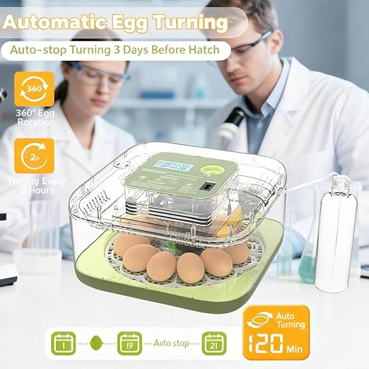 Incubators for Hatching Eggs, 12 Eggs Capacity, Egg Incubator with Automatic Egg Turning and Humidity Control for All Poultry - Chickens, Ducks, Quails, Turkeys, and More