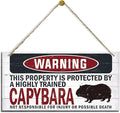 Warning Sign, Capybara Warning Wood Plaque Sign, Funny Door Signs, Decorative Wood Hanging Suspension Plaque, Farmhouse Wooden Wall Decor, Outdoor Hanging Wooden Signs