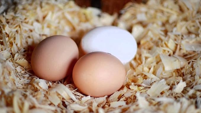 AA Plus Pine Shaving Flakes for Animal Bedding, Plant Topper, Home Decor, Chicken Nesting - 3lb
