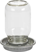 Glass Jar Chick Waterer - Little Giant - Mason Jar Baby Chick Waterer, 1 Quart (Item No. MJ9826)