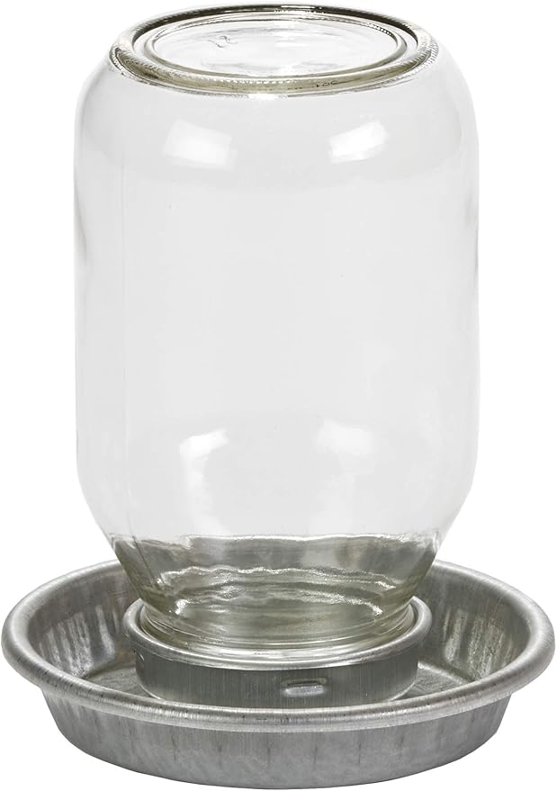 Glass Jar Chick Waterer - Little Giant - Mason Jar Baby Chick Waterer, 1 Quart (Item No. MJ9826)
