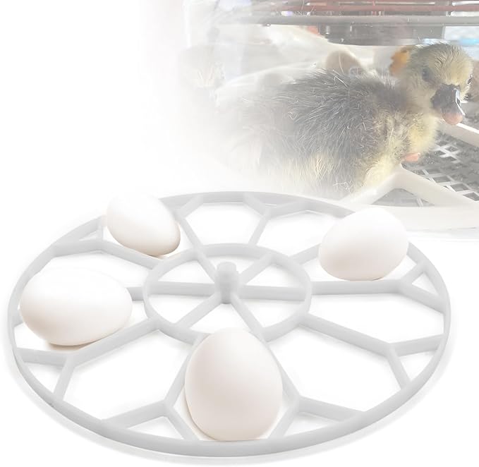 10 Egg Capacity Jumbo Goose Heavy Breeds Tray Compatible with Nurture Right 360 Incubator Turner, White JGT360