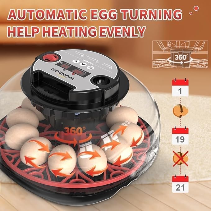 Nest II - 12 Egg Incubator for Beginners, Multi-Level Adaptive Humidity (Auto-Refill & Dual-Bottle) & Stable Temp Control, Auto Egg Turning, Real-Time Display, Candler for Hatching Poultry Eggs