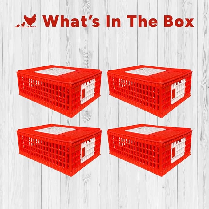 RentACoop Stackable Poultry Carrier Crate (Pack of 4) 29" L x 22" W x 12" H for Chickens