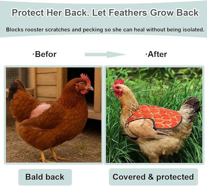 Chicken Saddle for Hens, 4 Pack Hen Apron Back Protector with Adjustable Straps – Chicken Mating Saddle Helps Stop Rooster Scratches, Feather Picking & Bald Backs