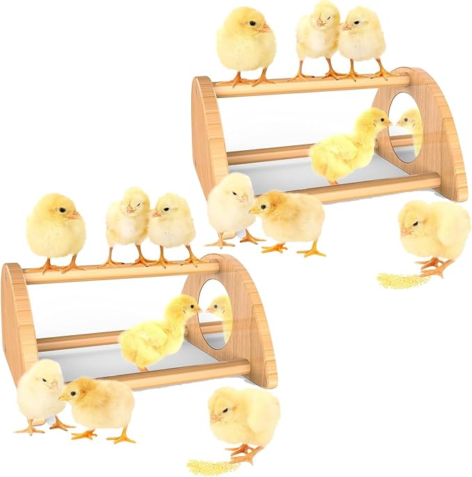 Mini Chick Perch with Mirror, Strong Bamboo Roosting Bar for coop and brooder, Training Perch for Baby Chicks, El Pollitos, La Pollita, Easy to Assemble and Clean, Fun Toys for Chick, 2 Pack