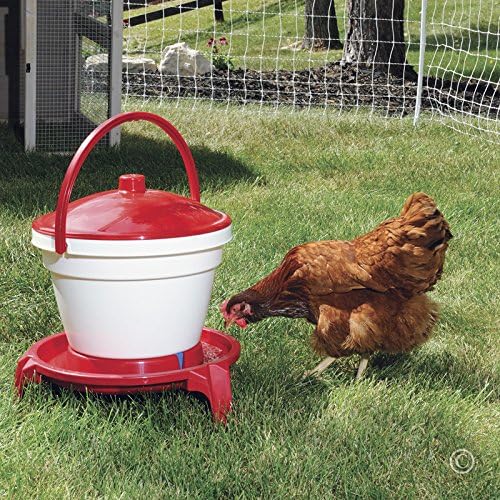 Premier 1 Quick Clean Poultry Waterer for Chickens & Poultry - 3 Gallon
