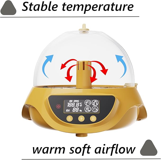Quail Incubator with Automatic Egg Turning,8 Eggs, Smart Temperature Control, 360°View, Air Vent Circulated, Auto Mini Small Egg Incubator for Hatching Quail Bird Parrot Reptile