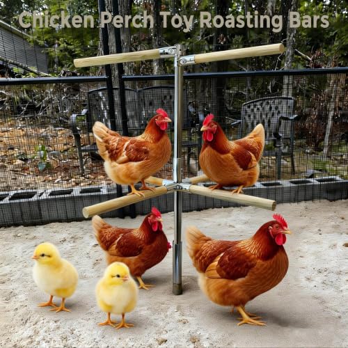 Chicken Perch Toy for Coop, Adjustable Chicken Roosting Bars - H=61.2inches, Natural, Steel-Wood Hybrid - Image 6