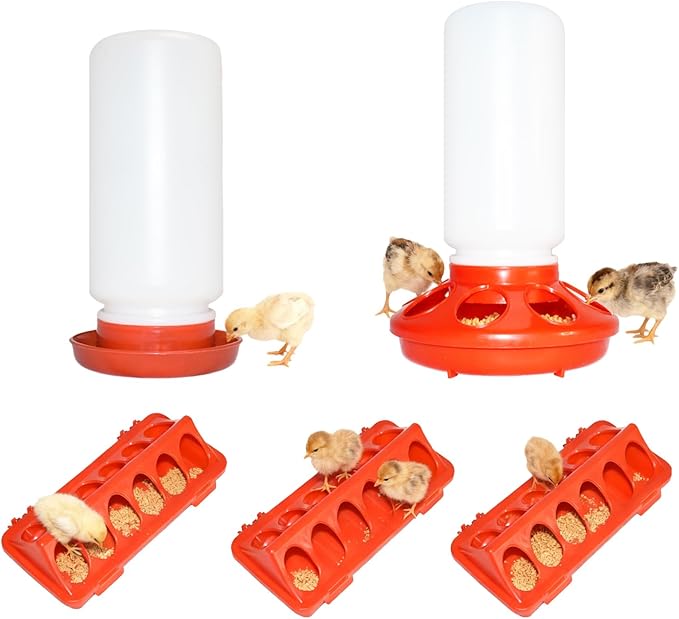 Chick Feeder and Waterer Kit,BrTurkey Duck Quail Poultry Feeder,Brooder Coop Supplies for Poultry,Included 5 Components
