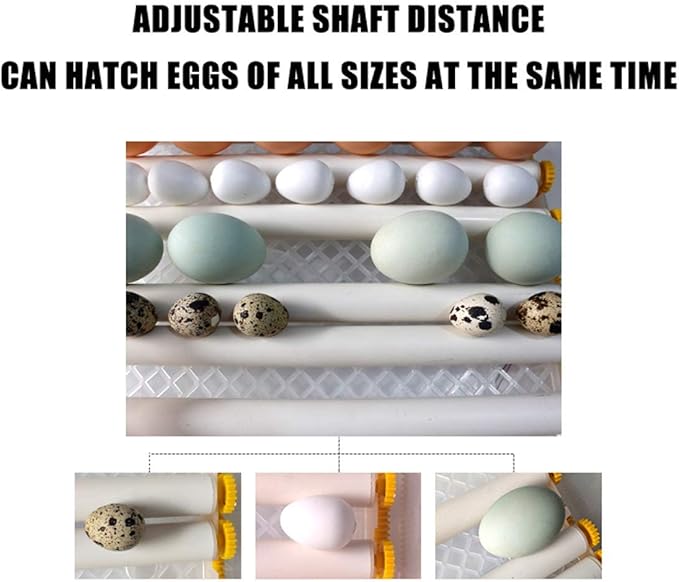 Automatic Incubator Egg Digital Egg Brooder with Temperature Display and Auto Turning for Chicken Goose Duck Poultry Hatcher (12 Egg)