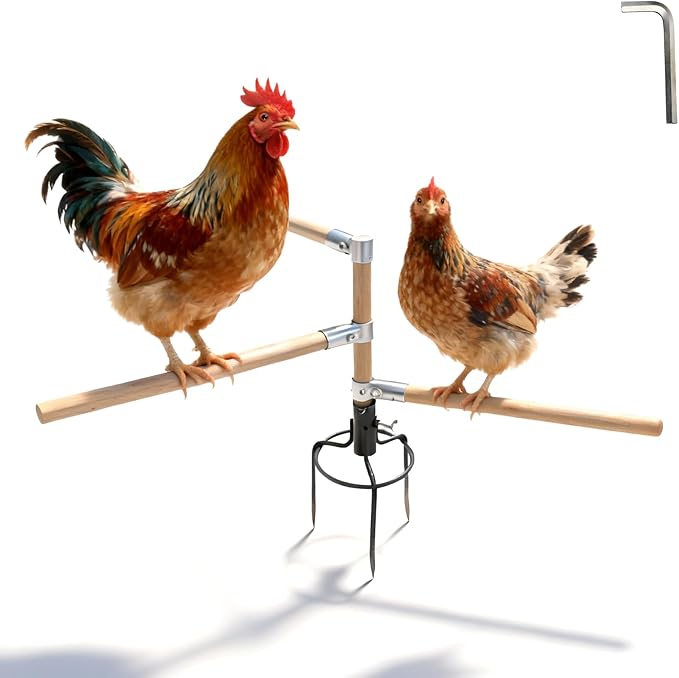 Chicken Perch Toys for Coop & Backyard Chickens, Small Chicken Perch Roosting Bars with 3-Prong Metal Ground Plug & Adjustable and Replaceable Wood Bar(Wooden, 22" H x 14" R)