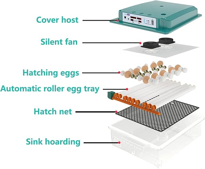 Egg Incubator, 12 Egg Incubator Digital with Temperature Control and Automatic Turning Chicken Poultry for Duck Goose Quail