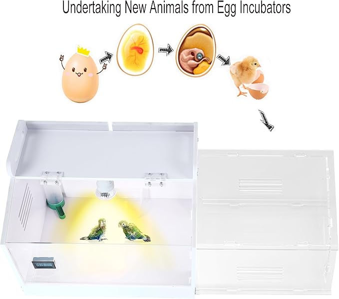 Iarge-Scale Chick brooder Box Quail Cage Egg Incubator Chick Starter Kit Chicken Brooder 20-35