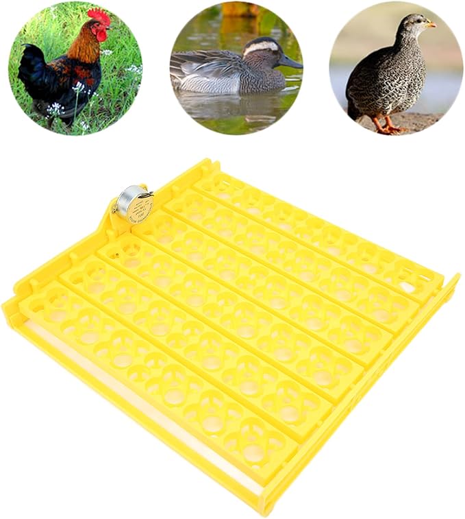 Pssopp Automatic Egg Turning Tray, Mini Incubator Hatcher Automatic Egg Turning Tray Tool Egg Turner with Motor for Chicken Duck Quail Egg Incubator Accessories[110V]