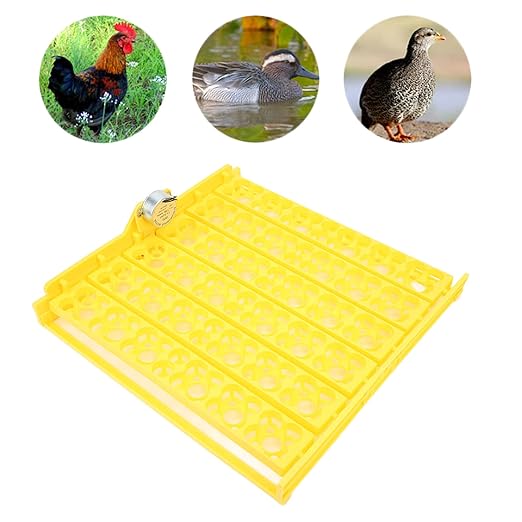 Egg Incubator Tray, Hollow Four Leaf Fancy Automatic Egg Turning Tray, Egg Turner for Survivors, Small Commercial Farmers, Chicken Duck Quail (110V)