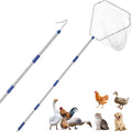 Chicken Catching Net，Adjustable 29-74 Inch Chicken Catcher Leg Hook Tool Kit,Long Handle Animal Catcher Pole Suitable for Catching Small Duck,Goose,Bird, Skunk Bat and Fishnet etc（15 x 23.2 Inch Net）