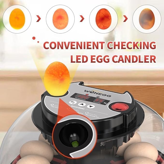 Nest II - 12 Egg Incubator for Beginners, Multi-Level Adaptive Humidity (Auto-Refill & Dual-Bottle) & Stable Temp Control, Auto Egg Turning, Real-Time Display, Candler for Hatching Poultry Eggs