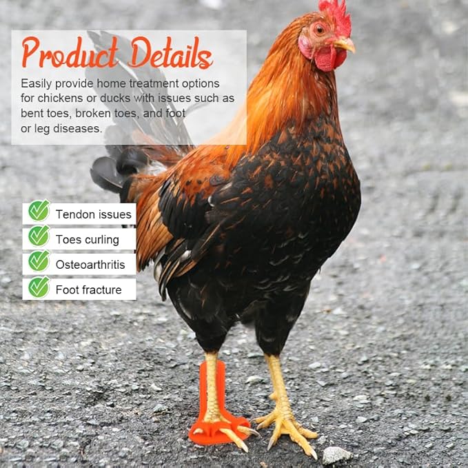 4-Piece Poultry Leg Splint Set with Holes- Professional Bumble Foot Treatment for Chickens & Duck for Fractures,Curled Toes,Osteoarthritis,Complete Bumblefoot Treatment Solution for All Growth Stages