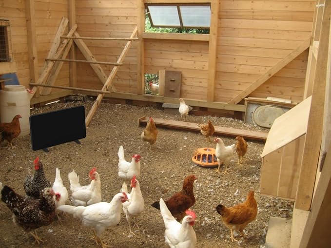 Econohome Safe Chicken Coop Heater, Safer Than Brooder Lamps, Gently Warm, 150 Watts, ETL Compliant for Safety - Also for Pets and Under Desk