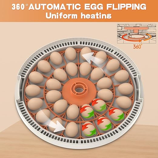 incubators for Hatching Eggs，30 Egg Incubator,Egg Incubator with Automatic Egg Turning，Incubator for Chicken Eggs，Chicken incubators for Hatching Eggs，Quail Egg Incubator
