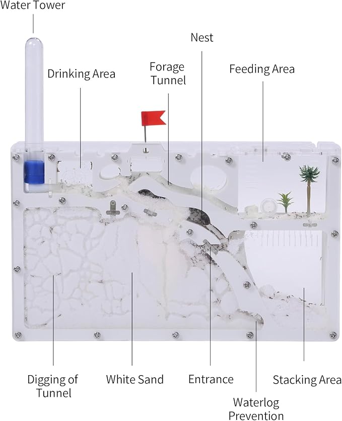 NAVAdeal Sand Ant Farm Castle 2023 Habitat Educational & Learning Science Kit Toy for Kid & Adult, Study of Ecosystem, Behavior of Ant Colony, Explore The World at Home School (Live Ant NOT Included)