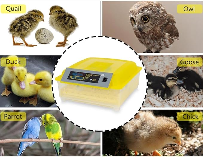 ALLGOOD 48 Eggs Incubator Automatic Digital Hatcher Machine with Auto Egg Turning for Hatching Chicken Goose Duck Birds Quail