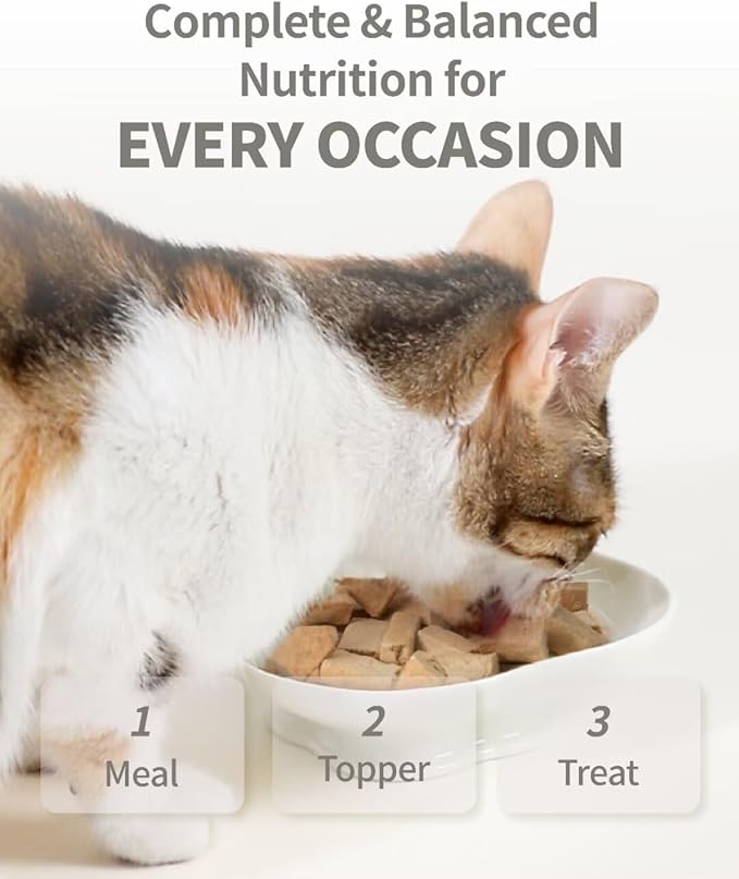 Freeze-Dried Cat Food, 97% Animal Origin Soft Dry Raw Food for Cat, High Protein Healthy Freeze Dried Cat Treat & Topper (Beef Recipe - 0.7 Ounce)