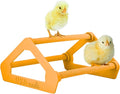 Roosting Perch for Baby Chickens, Chick Brooder Coop Training Toy Accessory, Easy Click Together Assembly, Durable Plastic, Mix and Match Colors, USA Made (Orange, 1 Pack)