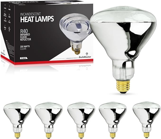 250 Watt Heat lamp Bulb for Bathroom R40 Incandescent Shower Heat Lamp Clear Infrared Bath Light 250R40 Chicken Light Bulb E26 Base 6 Pack