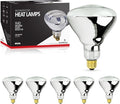 250 Watt Heat lamp Bulb for Bathroom R40 Incandescent Shower Heat Lamp Clear Infrared Bath Light 250R40 Chicken Light Bulb E26 Base 6 Pack