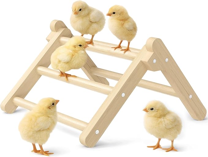 Innoland Chick Perch Foldable, Perch for Chicks Stable & No Assemble, Chick Roosting Perch for Stand Training, 11.02" × 9.84" × 6.10" Baby Chick Toys for Chicken Brooder | Coop (M)