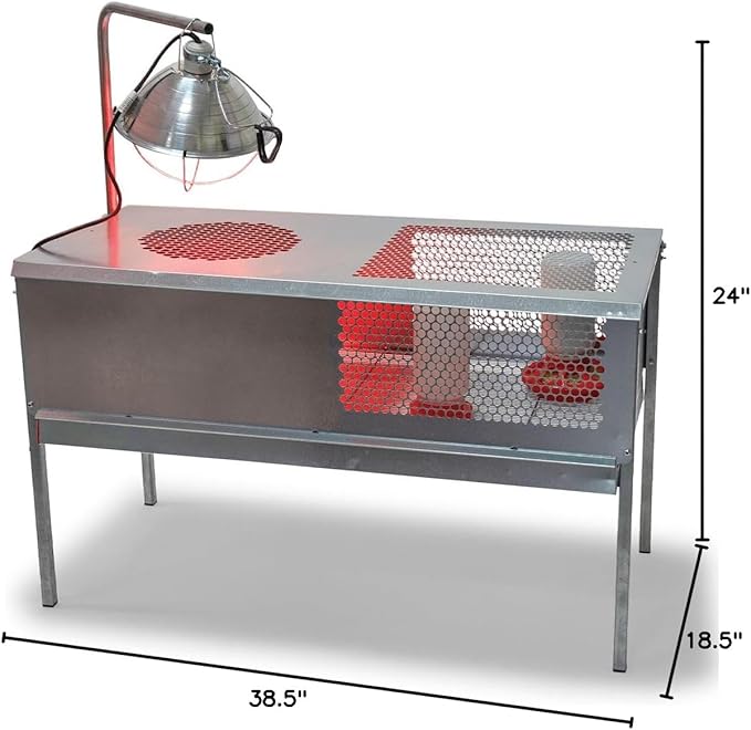 Stromberg's Stand-Up Chick Brooder, Durable Galvanized Steel & Wire, Ventilated Poultry Habitat, Easy Cleaning & Maintenance, Holds Up to 50 Chicks, Heat Lamp Stand Included (Lamp Sold Separately)