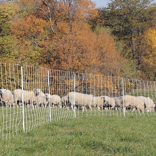 Premier 1 ElectroFence® Plus Starter Kit | White/Black Electric Net Fence – 48"H x 100'L, Includes: Solar Energizer, FiberTuff Support Posts and Tester
