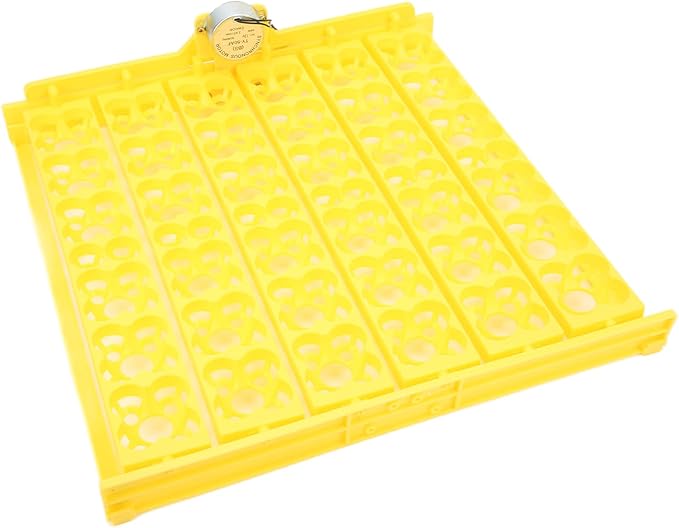 Incubator Egg Tray, Automatic Egg Turning Tray Mini Incubator Hatcher Automatic Egg Turning Tray Tool Egg Turner with Motor for Chicken Duck Quail Egg[12V]