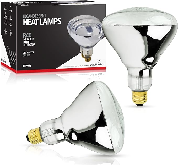 250 Watt Heat lamp Bulb for Bathroom R40 Incandescent Shower Heat Lamp Clear Infrared Bath Light 250R40 Chicken Light Bulb E26 Base 2 Pack