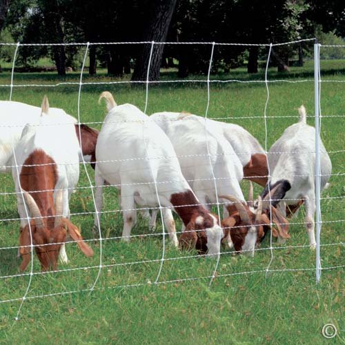 Premier 1 ElectroStop® 42"H x 164'L Portable Electric Fence with Built-in Double Spike Posts for Extra Stability | White/Black Fence for Sheep & Goats