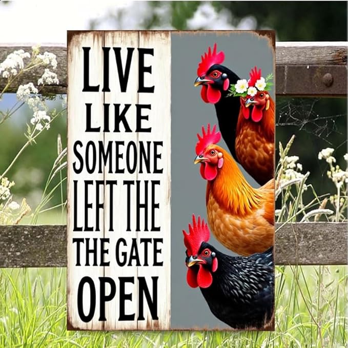 Chiken Gifts Vintage Chicken Decor Sign Live Like Someone Left The Gate Open Tin Sign for Home Chicken Coop Farm Fence Kitchen Bathroom Bedroom Wall Decor 8x12 Inches