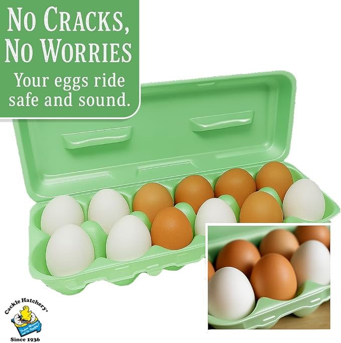 Cackle Hatchery Foam Egg Cartons for Chicken Eggs Holds 1 Dozen Eggs (Green, 50pk)