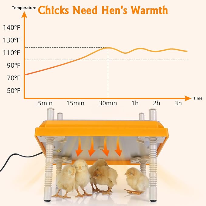 Brooder Heater for Chicks Height Adjustable: Heating Plate with Easy- Cleaning Plate Poultry Coop Warmer 10" x 10" for 15 Chicks