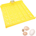 Pssopp Automatic Egg Turning Tray, Mini Incubator Hatcher Automatic Egg Turning Tray Tool Egg Turner with Motor for Chicken Duck Quail Egg Incubator Accessories[110V]