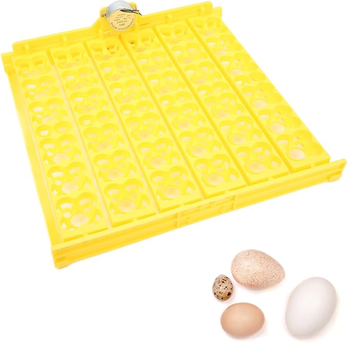 Pssopp Automatic Egg Turning Tray, Mini Incubator Hatcher Automatic Egg Turning Tray Tool Egg Turner with Motor for Chicken Duck Quail Egg Incubator Accessories[110V]