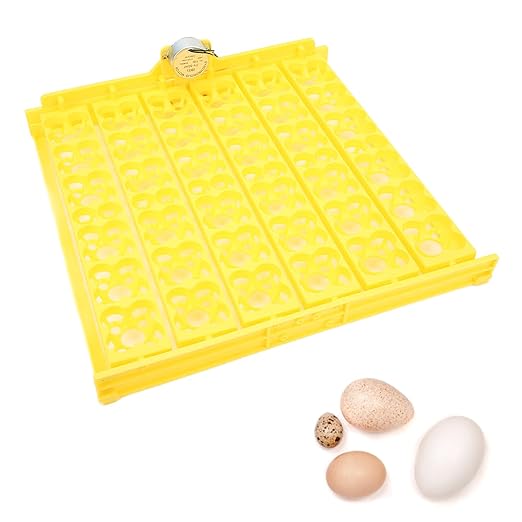 Egg Incubator Tray, Hollow Four Leaf Fancy Automatic Egg Turning Tray, Egg Turner for Survivors, Small Commercial Farmers, Chicken Duck Quail (110V)