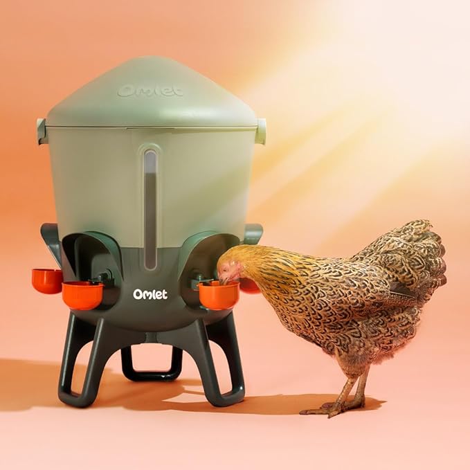 Omlet Insulated Chicken Waterer, 3 Gallon | Stay-Clean Automatic Water Dispenser for Chickens | BPA-Free | Anti-Roost Domed Lid | Includes 5 Cups & Nipples | Sage Green