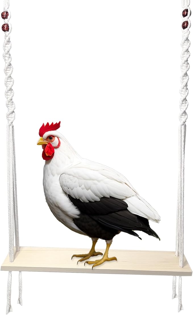 Chicken Swing Toy for Large Chicken Coop, Chicken Enrichment Toy for Hens and Roosters, Natural Wooden Handmade Chicken Coop Accessories, Ideal Gift for Chicken Owners and Chicken Lovers