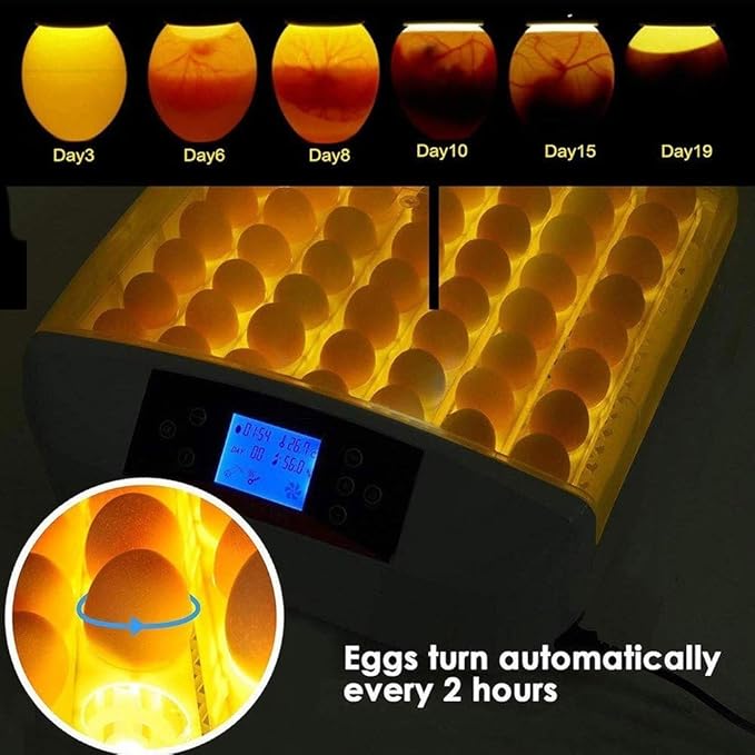 56 Egg Incubators Automatic Turning Poultry Hatcher Digital Temperature Control with Built-in Egg Candle for Chickens Ducks Birds